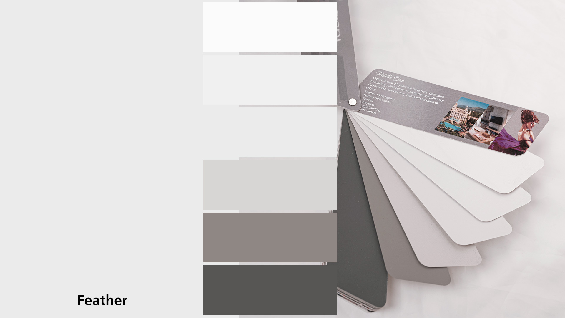 Decorative finish colour swatch texture